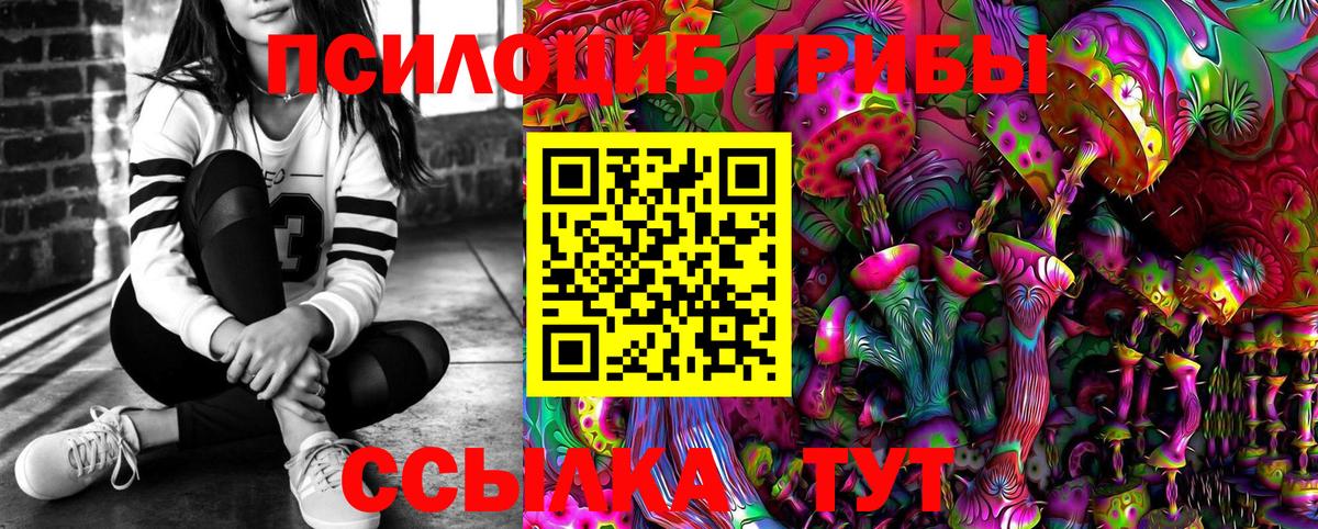 Псилоцибиновые грибы Cubensis  Псилоцибиновые грибы Cubensis  Грязи  Вход с VPN 